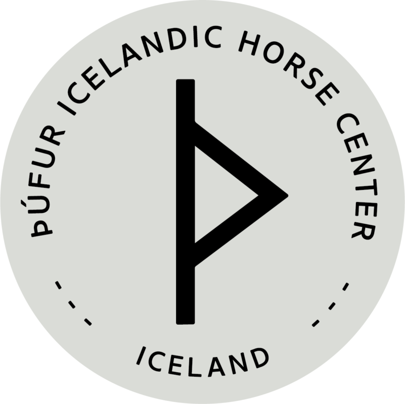 Þúfur Icelandic Horse Center