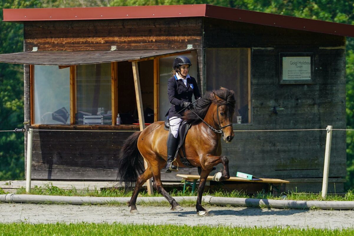 Værð frá Þúfum and her owner Silke Veith. They are very succsessfull in fourgait.