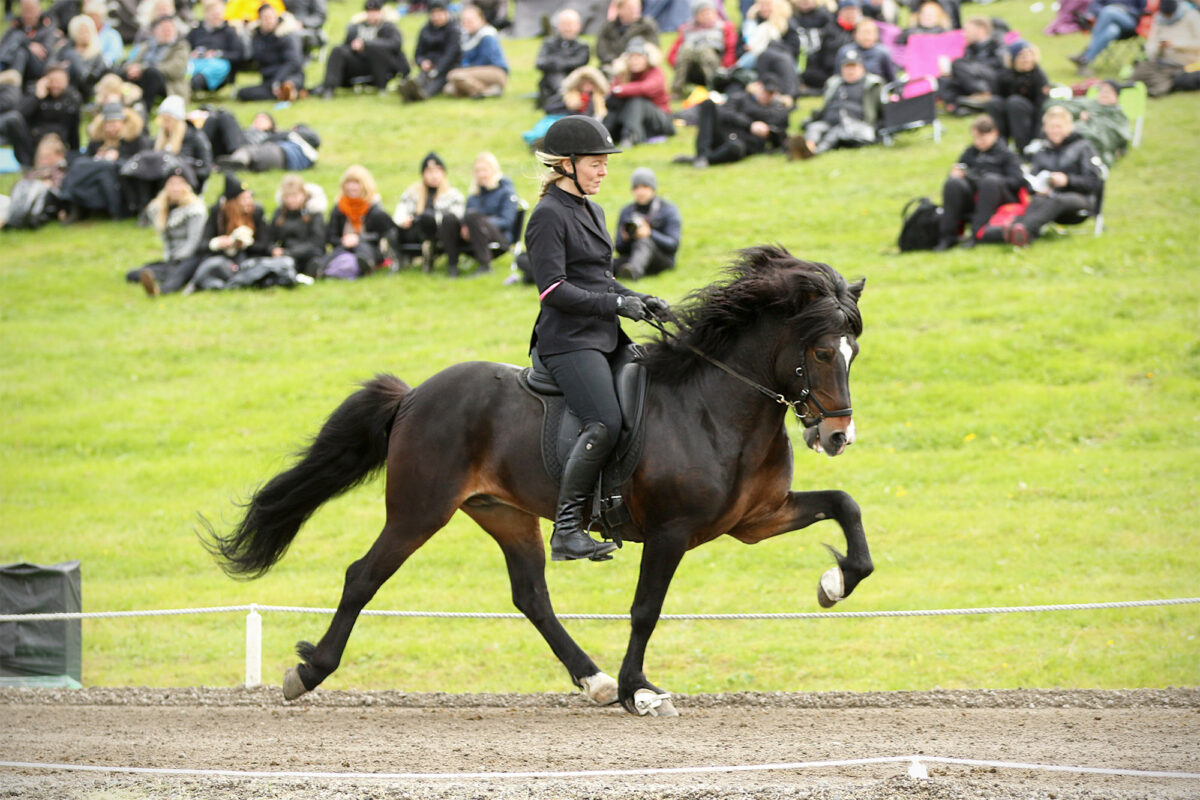 Hnokki frá Þúfum og Mette Mannseth á LM 2018