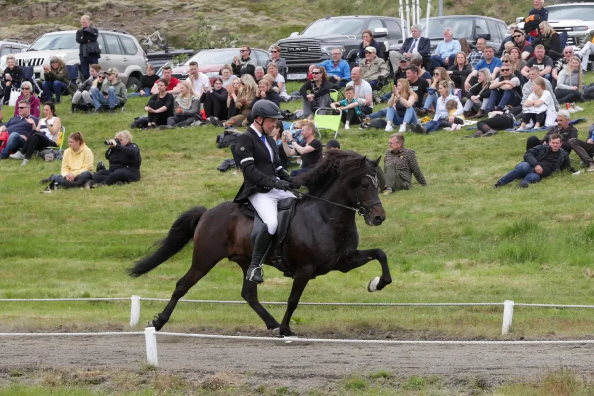 Tumi frá Jarðbrú og Þórarinn Eymundsson