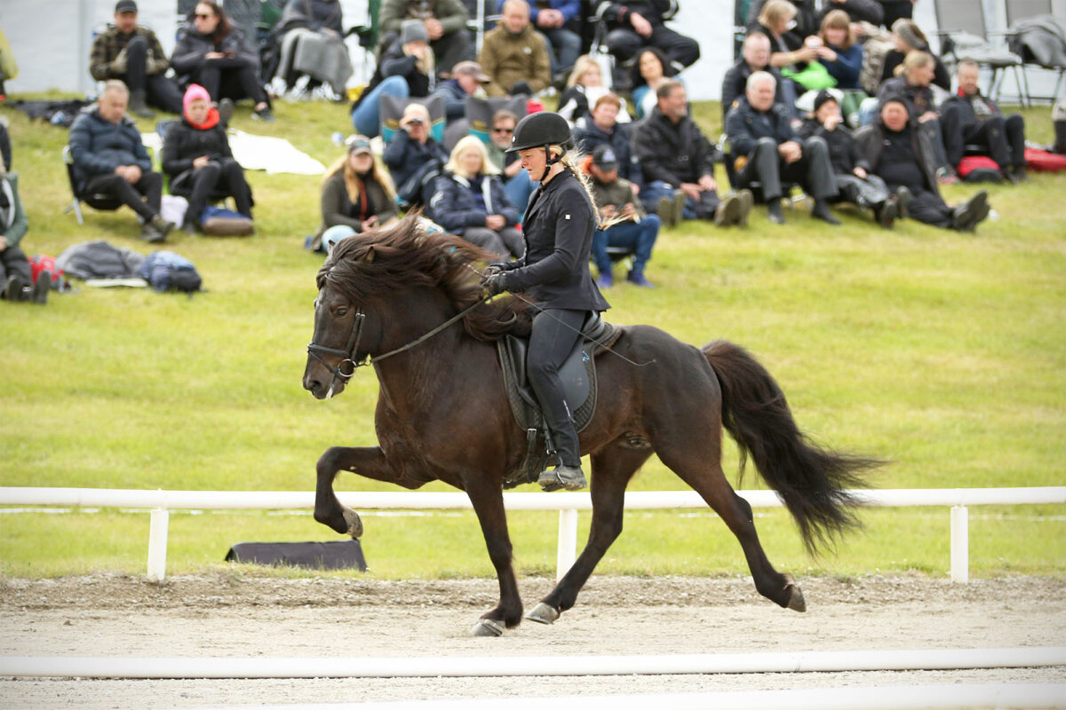 Pistill frá Þúfum og Mette á LM2022