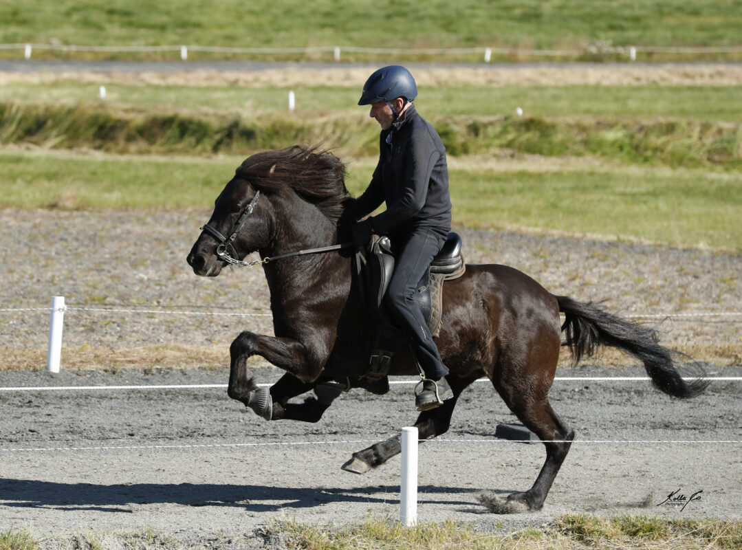Strengur frá Þúfum and Gísli showcase 9,5 for gallop