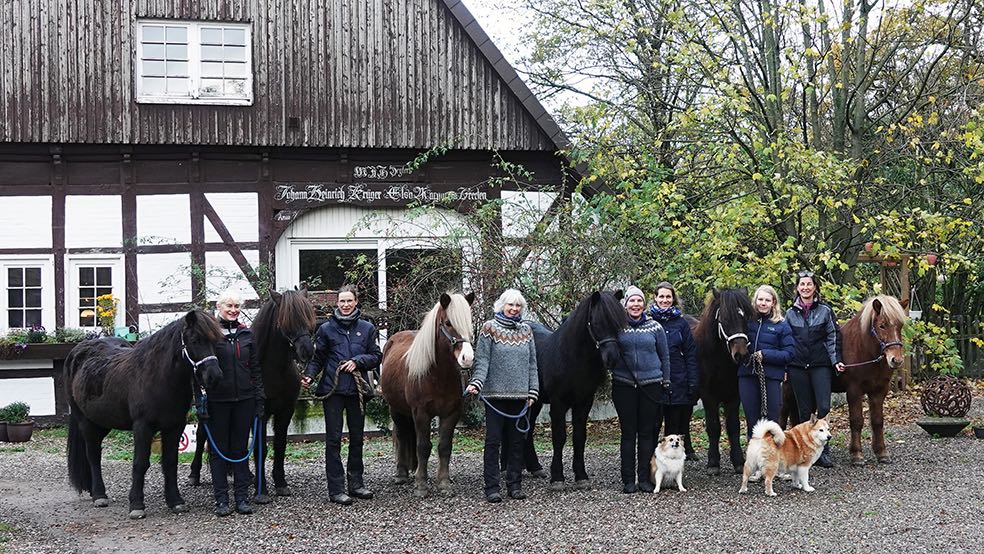 Þúfur-horses on Baselthof in germany and their happy owners.